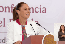 Sheinbaum estudia acciones legales contra Elon Musk por acusarla de estar a las órdenes de los cárteles