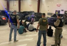 ICE endurece operativos migratorios y limita acceso a información pública en Florida