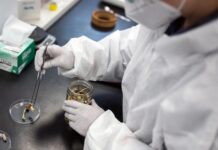 PSICODÉLICOS CONTRA LA DEPRESIÓN: LA FDA ABRE EL DEBATE